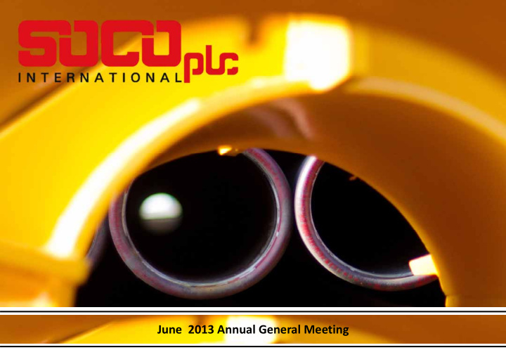 june 2013 annual general meeting