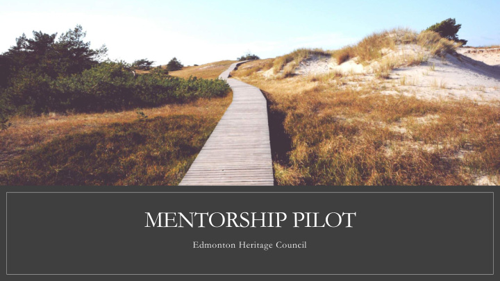 mentorship pilot