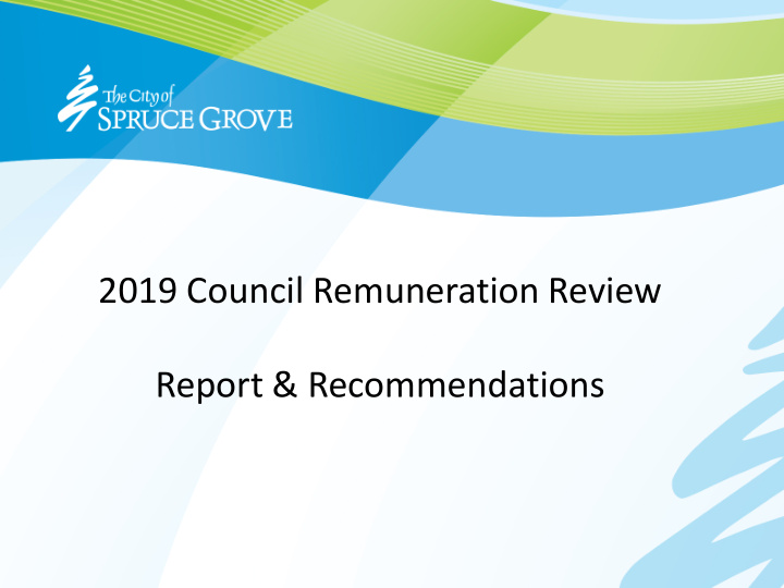 2019 council remuneration review report recommendations
