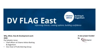 DV FLAG East  Why, What, How &amp; Development work  A new project funded  by  2020  Pip