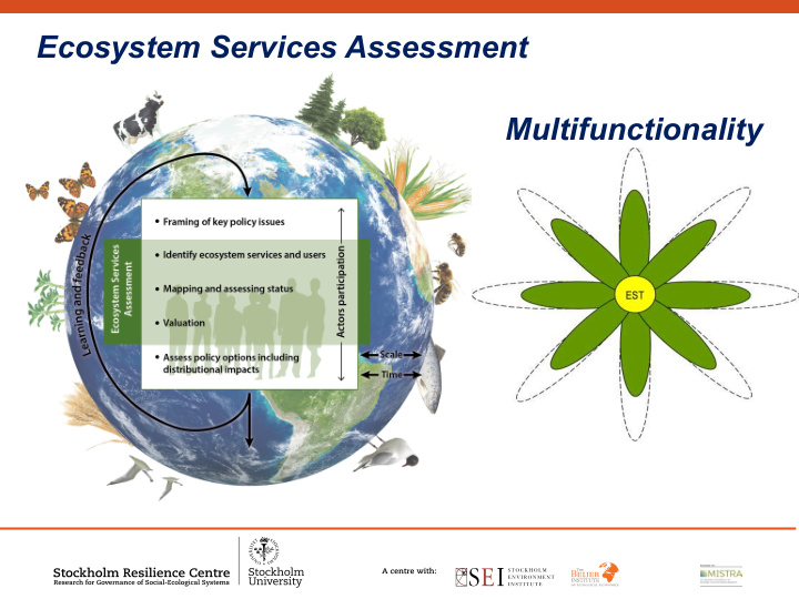 ecosystem services assessment multifunctionality
