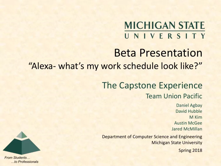 beta presentation