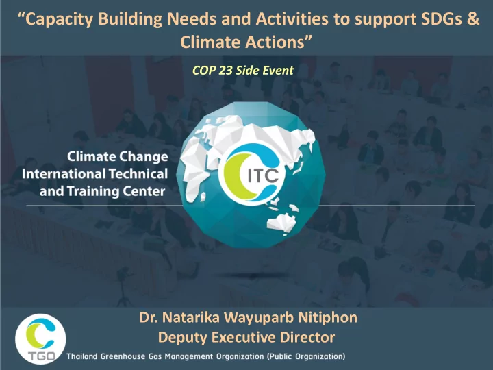 capacity building needs and activities to support sdgs