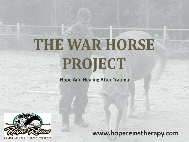 the war horse project