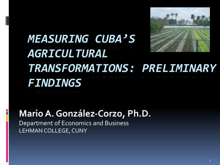 measuring cuba s agricultural transformations preliminary