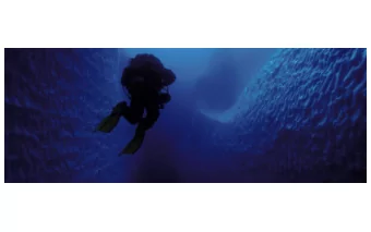 What support is  available for you to  navigate the next  6 months? TAS / Presentation by Murray