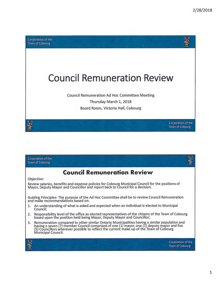 council remuneration review