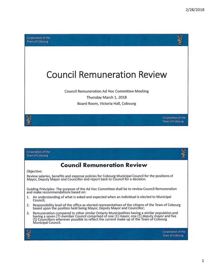 council remuneration review