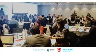 Post-2020 global biodiversity framework:  Commitment, Implementation and  Accountability 8 October