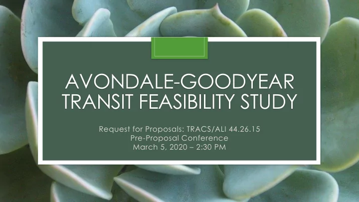 avondale goodyear