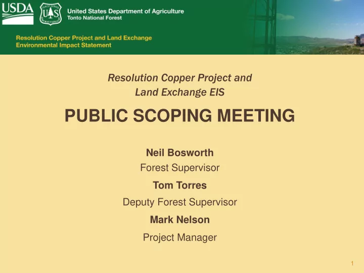 public scoping meeting