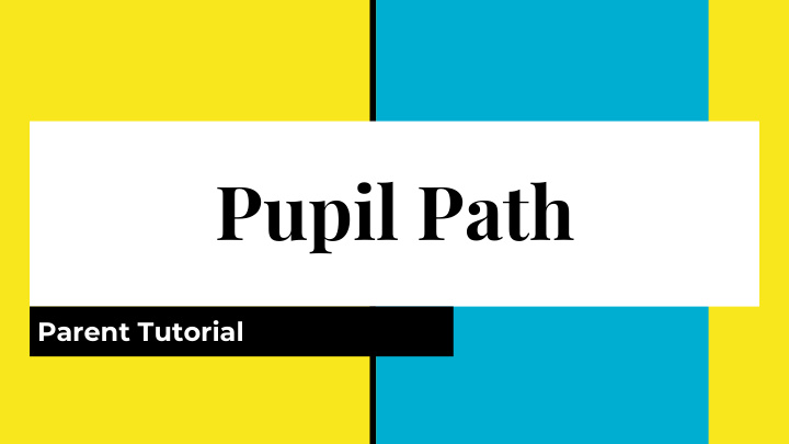 pupil path