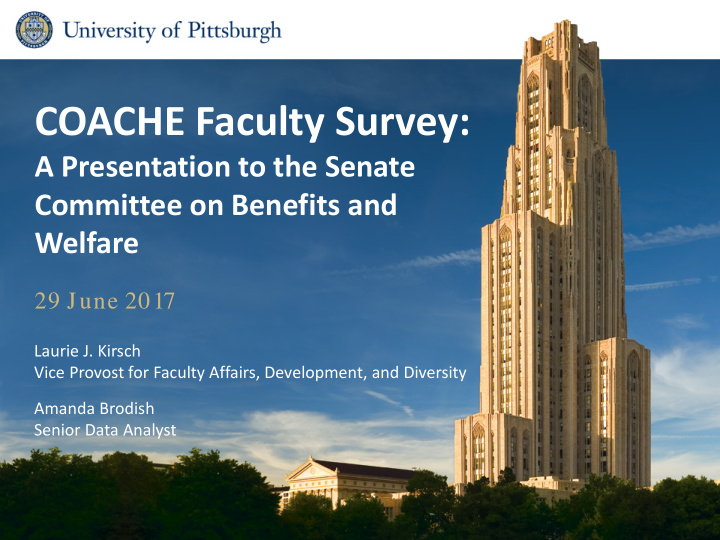 coache faculty survey