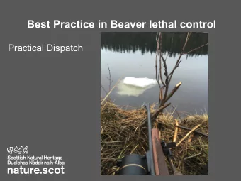 Best Practice in Beaver lethal control  Practical Dispatch  What shooting scenarios?  Targeting