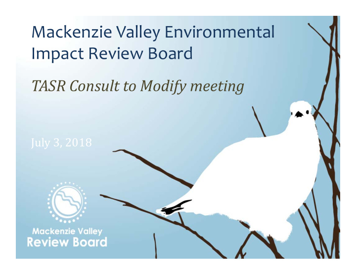mackenzie valley environmental impact review board