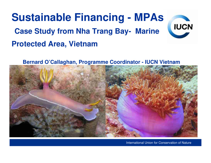 sustainable financing mpas