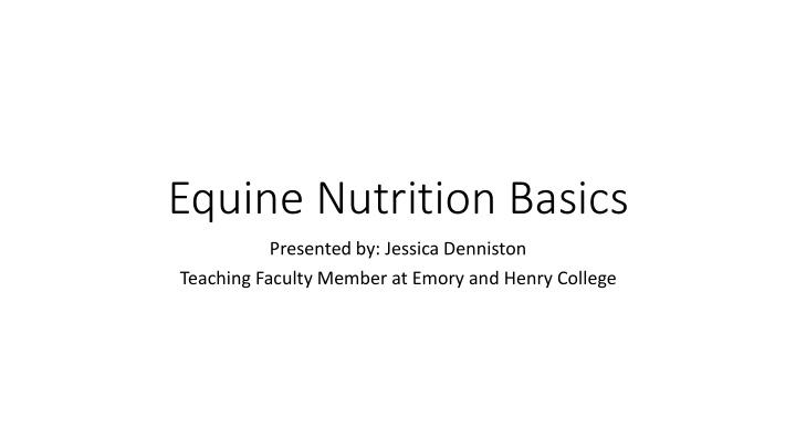 equine nutrition basics