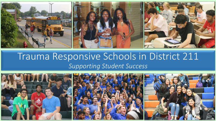 trauma responsive schools in district 211