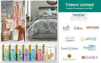 Trident Limited  Investor Presentation June 2020  Safe Harbour This presentation has been prepared