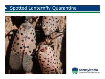 Spotted Lanternfly Quarantine  What Is At Risk for Pennsylvania?  Unable to Estimate  Current