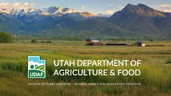 UTAH DEPARTMENT OF  AGRICULTURE &amp; FOOD DIVISION OF PLANT INDUSTRY  INVASIVE INSECT AND