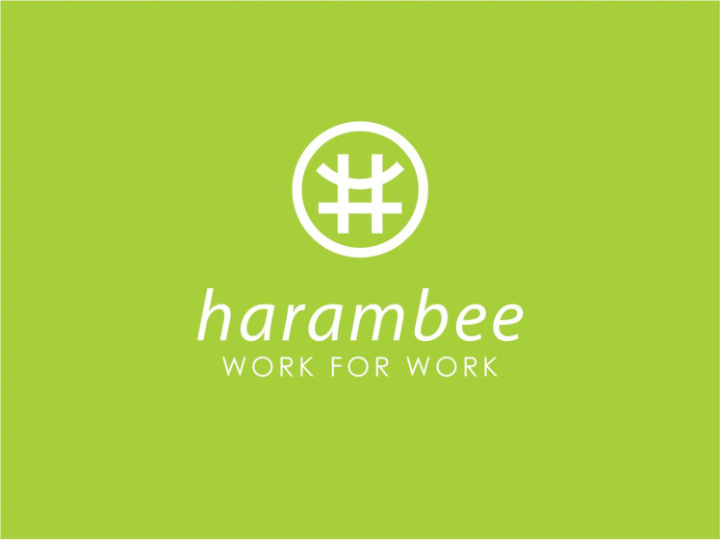 harambee youth employment accelerator