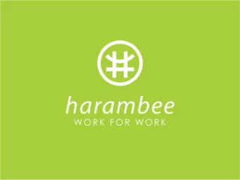 HARAMBEE YOUTH EMPLOYMENT  ACCELERATOR    Employer-founded initiative to facilitate successful