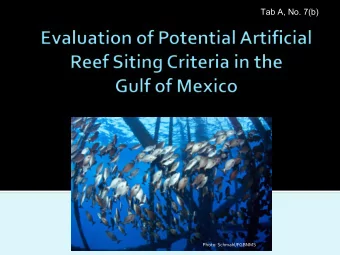 Tab A, No. 7(b)  Photo: Schmahl/FGBNMS  Problem  Removal of petroleum platforms