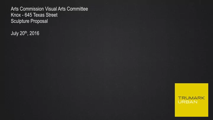 arts commission visual arts committee knox 645 texas