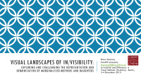 visual landscapes of in visibility
