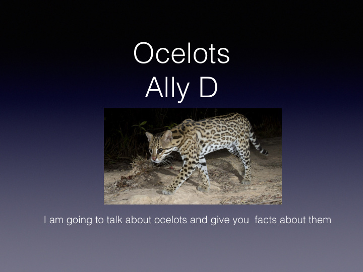 ocelots ally d