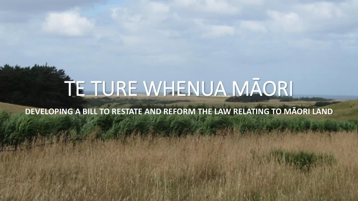 te ture whenua m ori