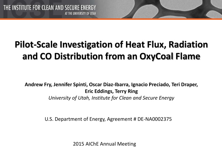 pilot scale investigation of heat flux radiation and co