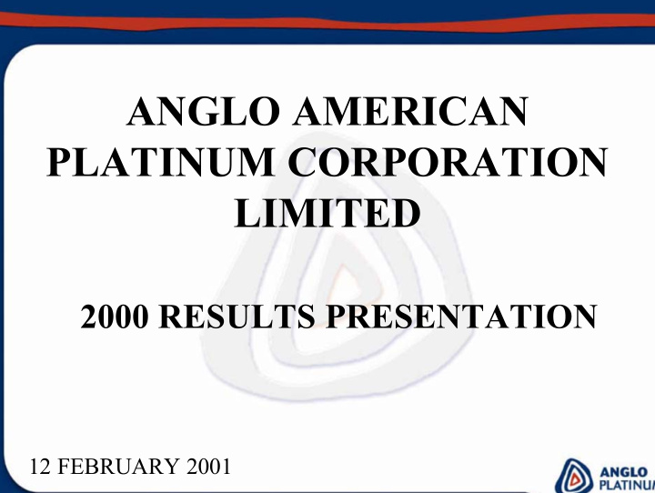 anglo american platinum corporation limited