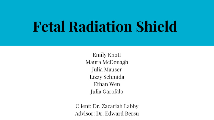 fetal radiation shield