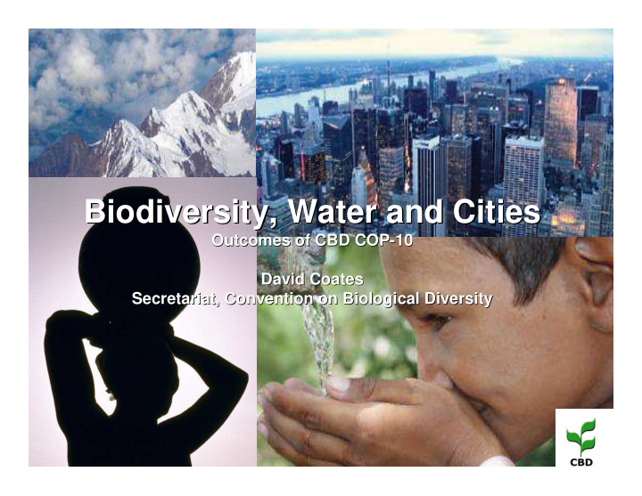 biodiversity water and cities biodiversity water and