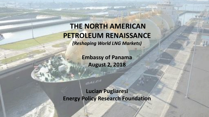 the north american petroleum renaissance