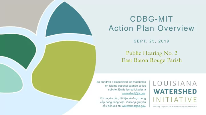 cdbg mit action plan overview