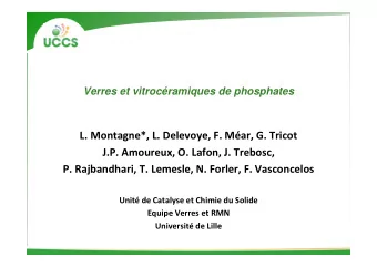 L. Montagne*, L. Delevoye, F. Mar, G. Tricot  J.P. Amoureux, O. Lafon, J. Trebosc,  P.