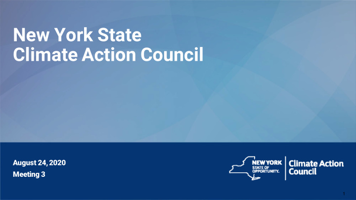 new york state climate action council