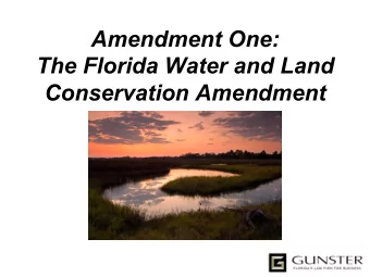 Amendment One:                 The Florida Water and Land  Conservation