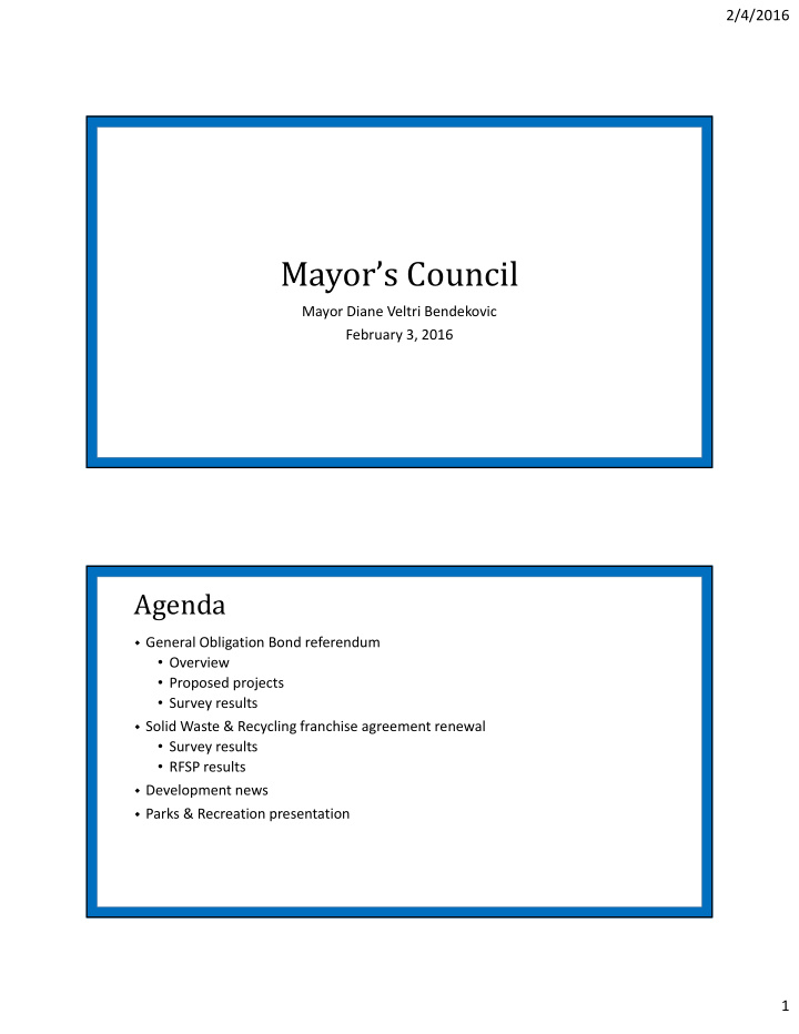 mayor s council