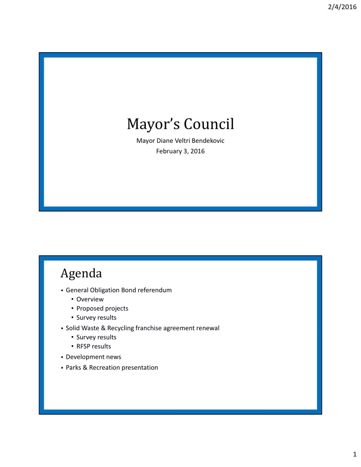 mayor s council