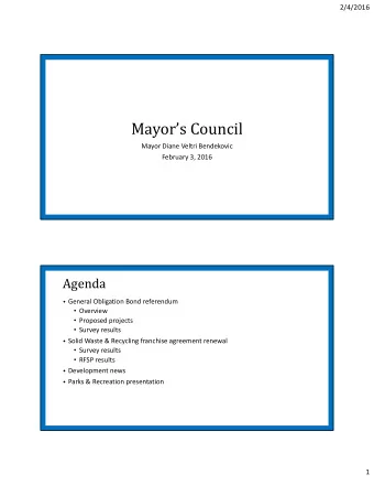 Mayors Council Mayor Diane Veltri Bendekovic February 3, 2016  Agenda  General Obligation