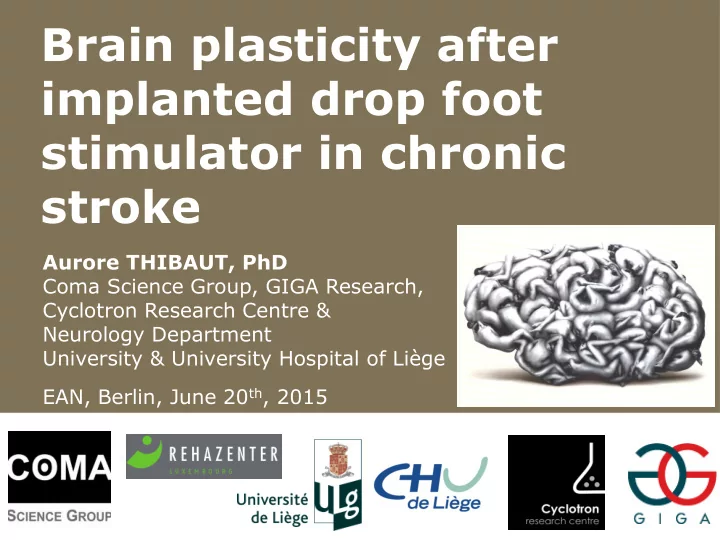brain plasticity after
