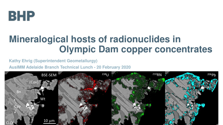 mineralogical hosts of radionuclides in