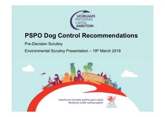 PSPO Dog Control Recommendations  Pre-Decision Scrutiny Environmental Scrutiny Presentation  19