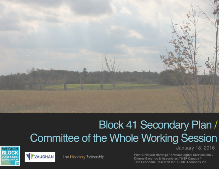 block 41 secondary plan committee of the whole working