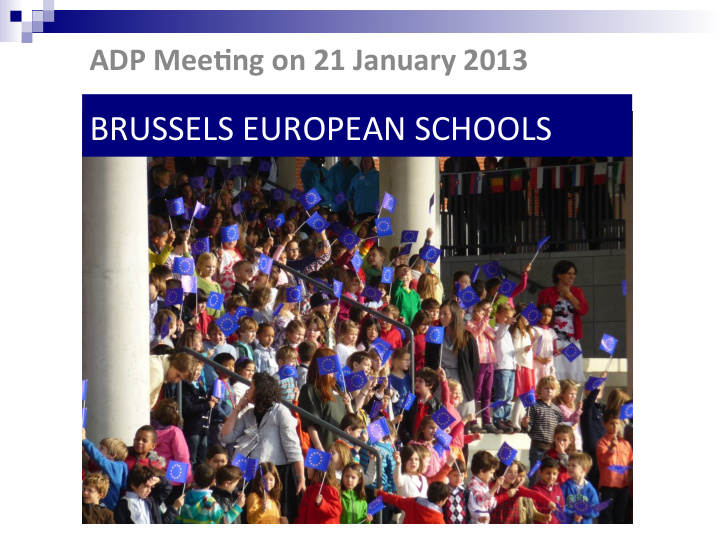 brussels european schools central enrolment authority cea
