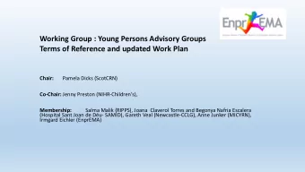 Working Group : Young Persons Advisory Groups Terms of Reference and updated Work Plan  Chair: